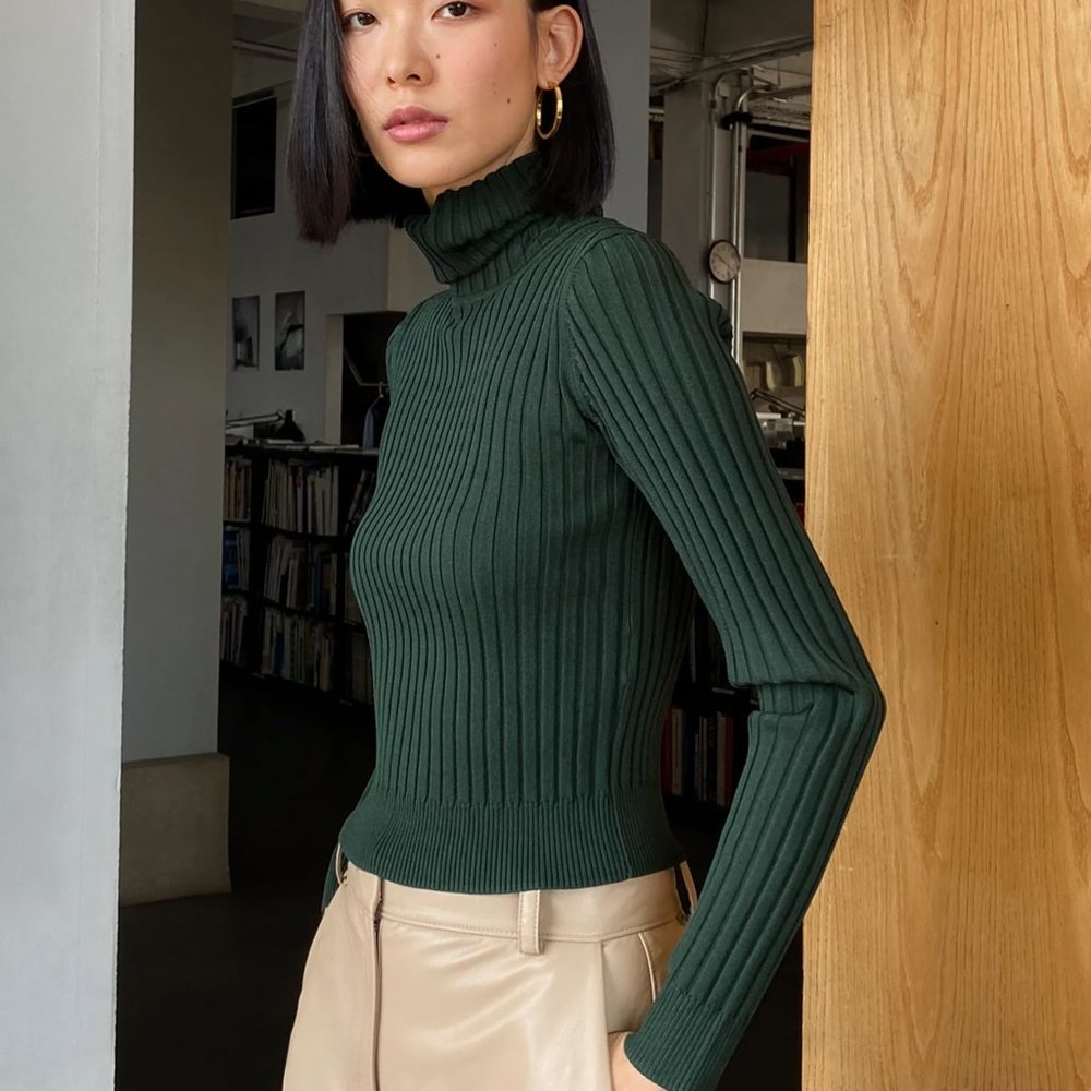 Babaton - Victor Turtleneck - Scarab